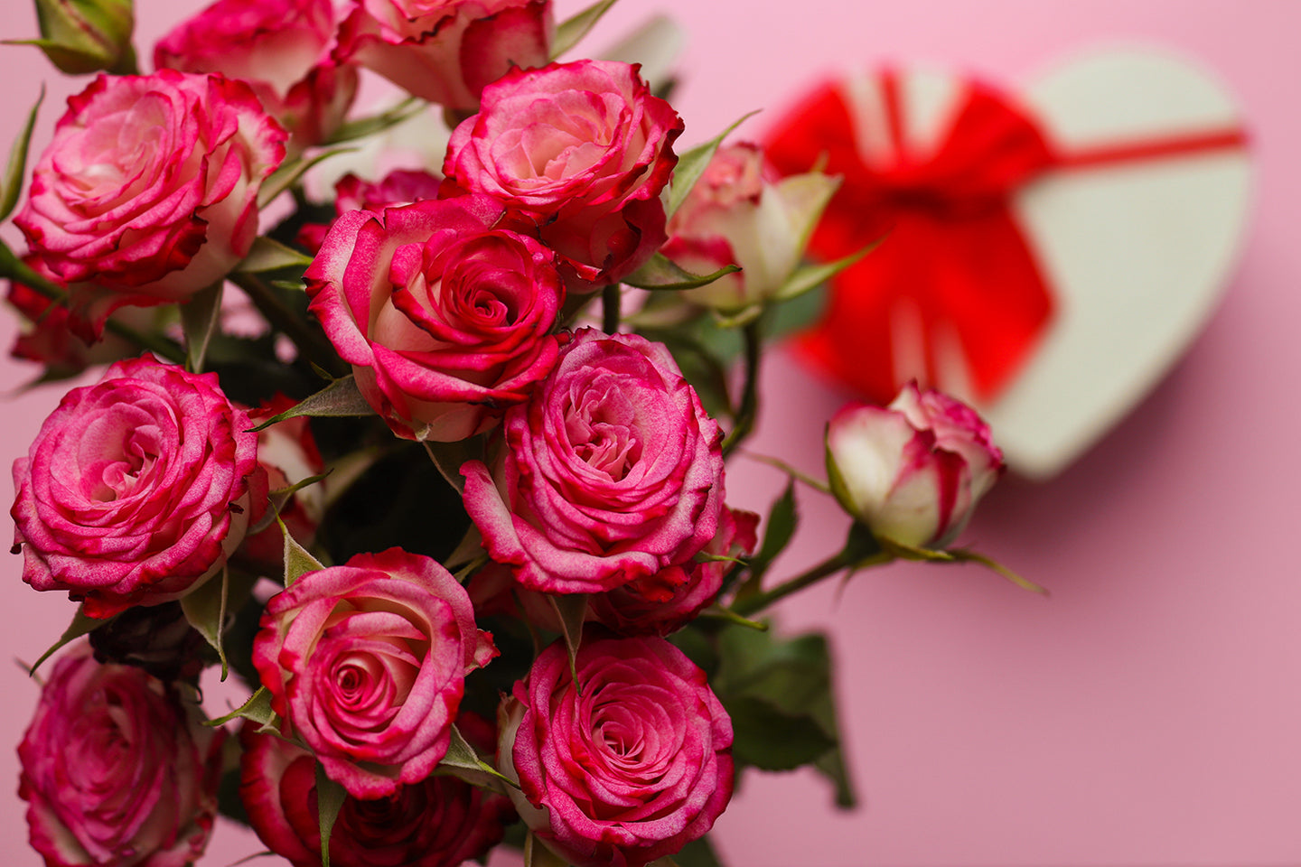 14 Roses FLOWER-ROSES – VWOWGIFTS