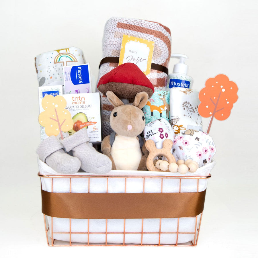 COSY BABY HAMPER｜ Vitamin Barrier Cream｜Gentle Cleansing Gel｜Facial Cream｜Iron Storage basket｜Complimentary Message Card｜舒適嬰兒禮籃｜護膚膏｜嬰兒髮膚沐浴啫喱｜溫和潔面啫喱｜水份潤面霜｜免費心意卡