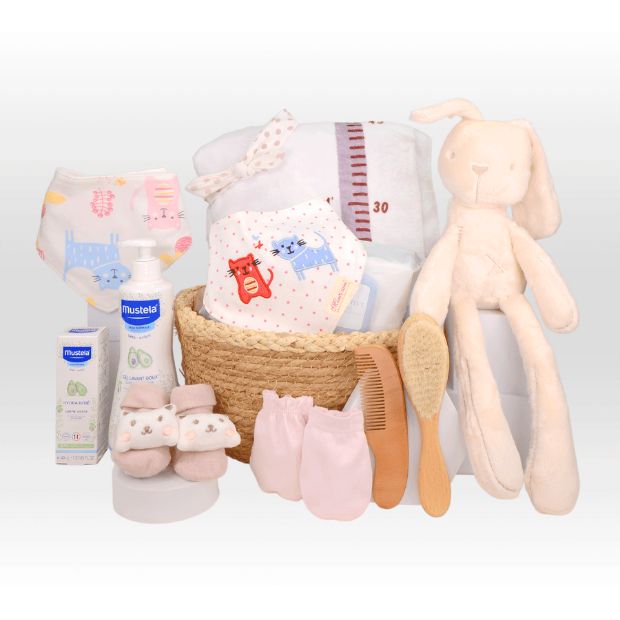 Baby Hamper | Bunny | Mustela | Baby Gift set | 嬰兒禮籃 | Brush set | Baby Blanket