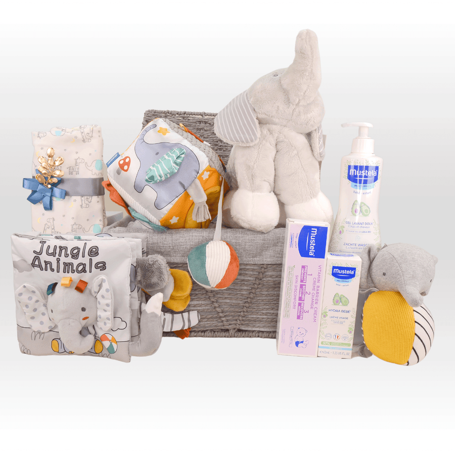 Baby Hamper | Mustela | Baby Gift set | 嬰兒禮籃 | Little Elephant | Baby Rattle | BB手搖鈴 | Baby Toys | BB玩具