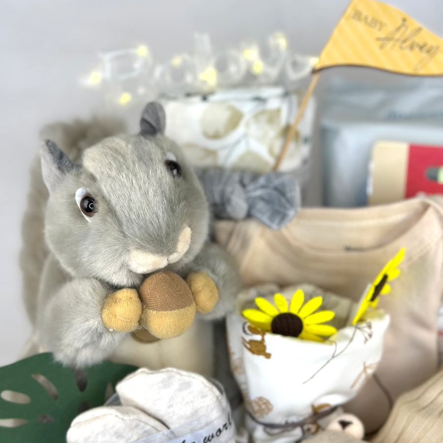 Baby care kit | Organic cotton bibs | Unisex baby gifts
Baby shower presents | Luxury infant hamper | Safety baby products
Aurora plush toy | Forest nursery decor | Practical baby essentials