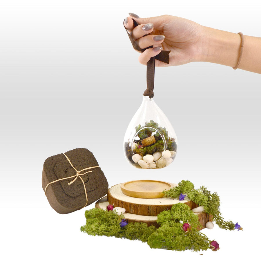 A hand is holding a small container of VWOWGIFTS' LOVE BLOOM PLANT WEDDING FAVOUR moss and a wooden box.