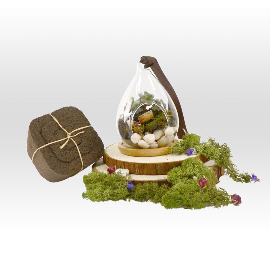 A LOVE BLOOM PLANT WEDDING FAVOUR with moss and a wooden box. Brand: VWOWGIFTS