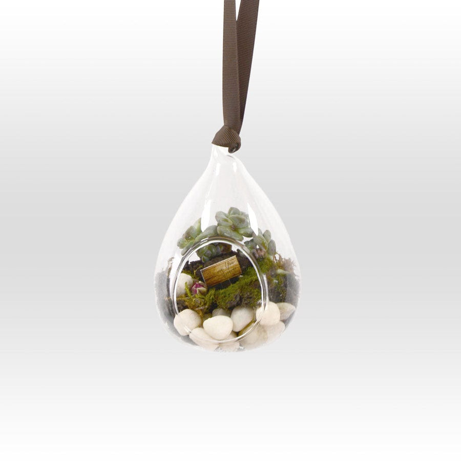 A glass container with moss hanging from it, called the VWOWGIFTS LOVE BLOOM PLANT WEDDING FAVOUR.