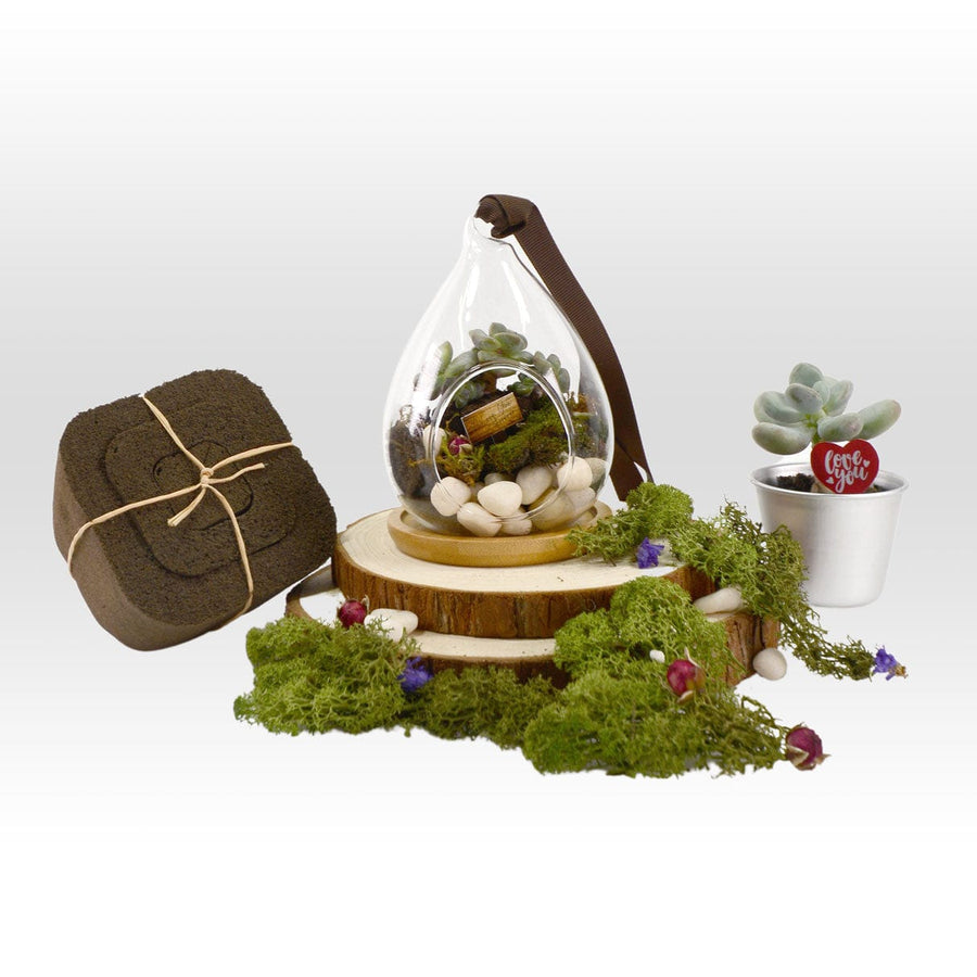A LOVE BLOOM PLANT WEDDING FAVOUR terrarium with succulents and moss, made by VWOWGIFTS.
