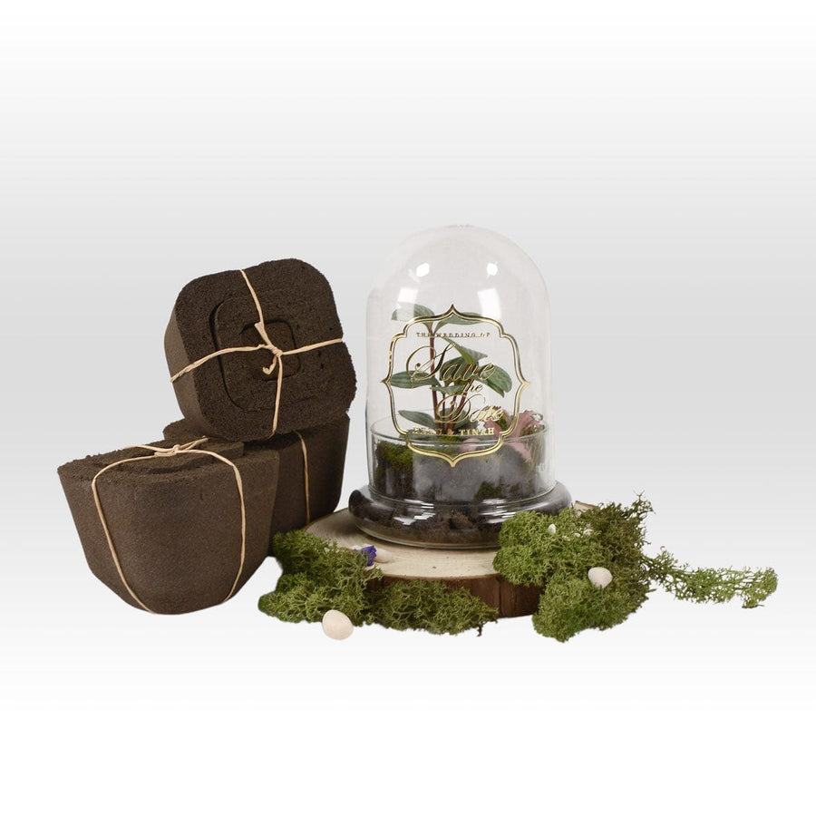A VERDANT WITH PLANT WEDDING FAVOUR terrarium with moss and a wooden box by VWOWGIFTS.