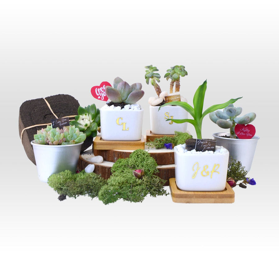 ETERNAL LOVE WITH PLANT WEDDING FAVOUR HAMPER｜Personalized Message Golden Stricker｜Evergreen Plants with Pafcal｜Plants Ornaments｜Gardening Labels｜永恆的愛綠植回禮小禮物｜常綠植物｜有機無土透氣綿｜植物飾品｜園藝小標籤｜金色個性化文字
