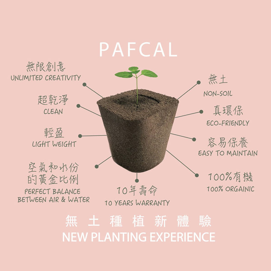 VWOWGIFTS - new planting experience with GREEN ABUNDANCE MID-AUTUMN FESTIVAL GIFT SET WITH MECAKEKI MOONCAKE.