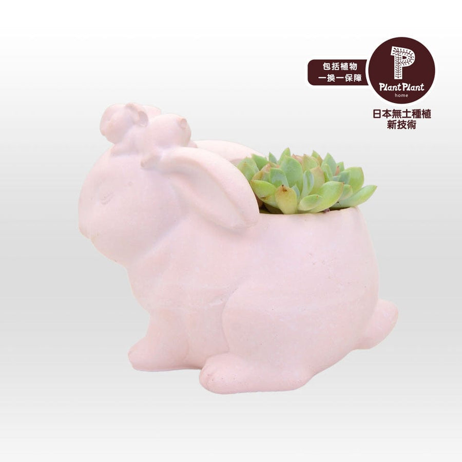 A VWOWGIFTS pink bunny planter with succulents in it.