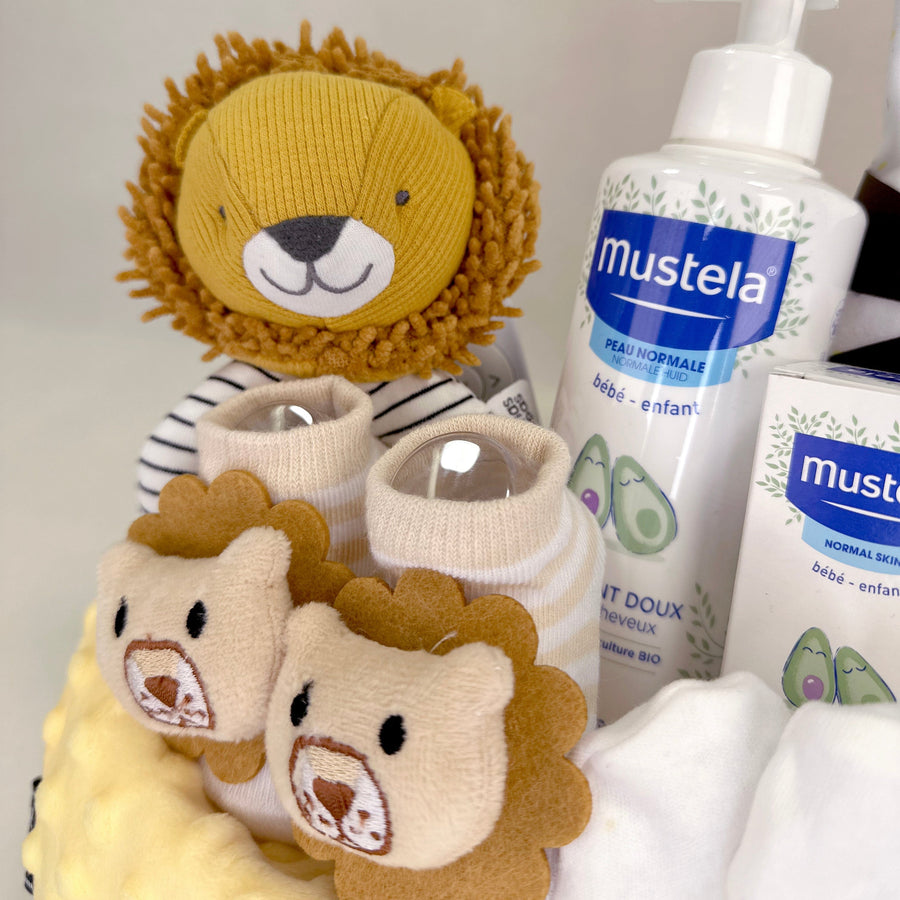 A VWOWGIFTS LITTLE LION BABY HAMPER with other items.