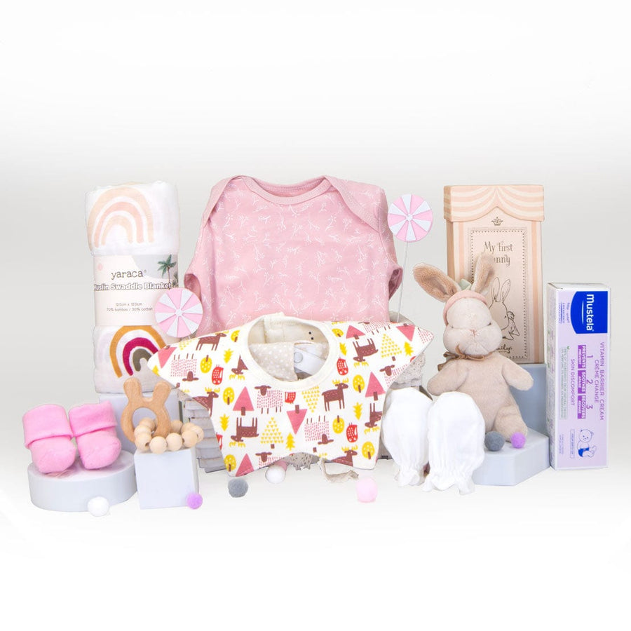 A DELUXE BABY GIFT HAMPER with a pink bunny and other items from VWOWGIFTS.