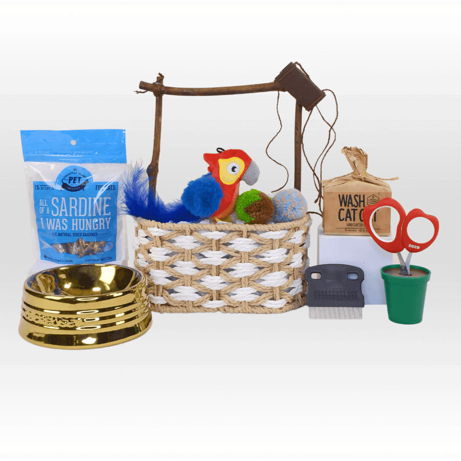 A basket with a PAWSOME GIFT SET by VWOWGIFTS and other items.