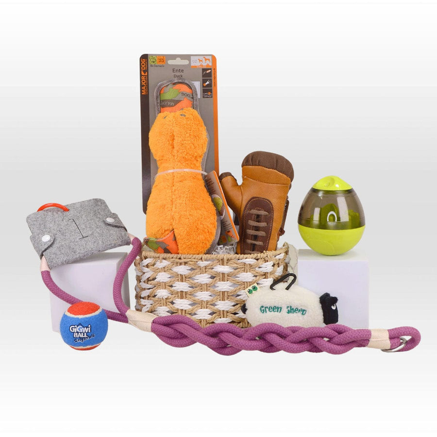A basket full of VWOWGIFTS POOCH EXPLORER dog toys and accessories.